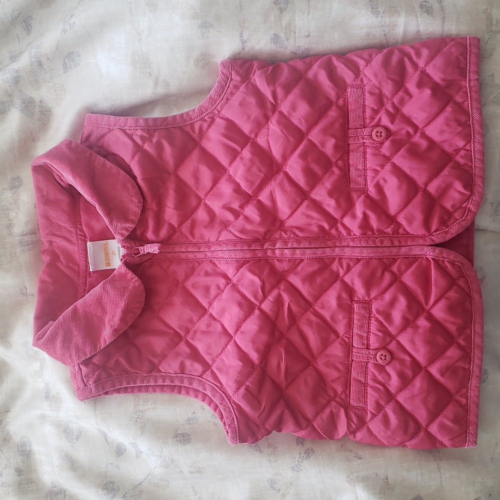 Gymboree Vest